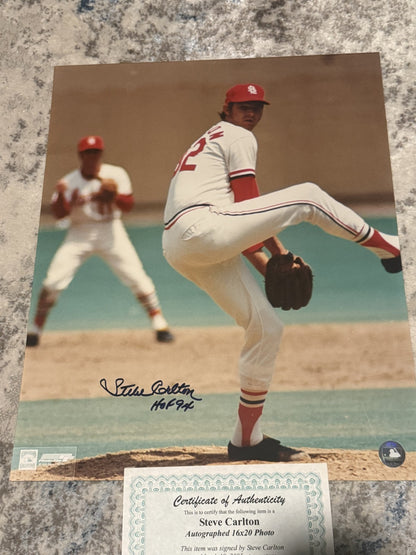 Steve Carlton 16x20 Autographed St Louis Cardnials With HOF 94  Mill City COA