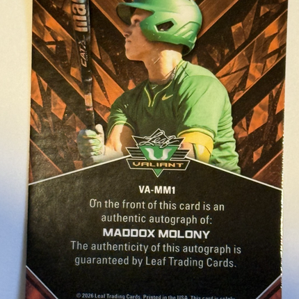 Leaf 2026 Maddox Molony MLB Draft Pick #187 Detroit Tigers #VA-MM1 Auto