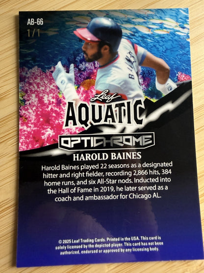 2025 Leaf Aquatic Harold Baines Opticrome #AB-66 1 of 1