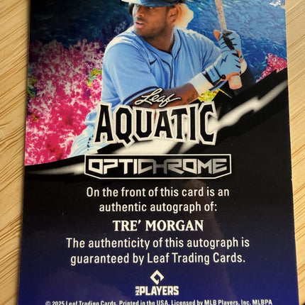 2025 Leaf Aquatic Tre Morgan Optichrome Tampa Bay Rays #AA-TM1 Auto 1/1